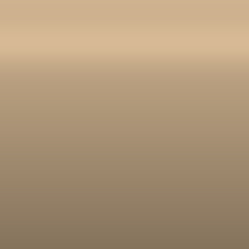 Automotive Touch Up Paint Lincoln Light Champagne M5535A