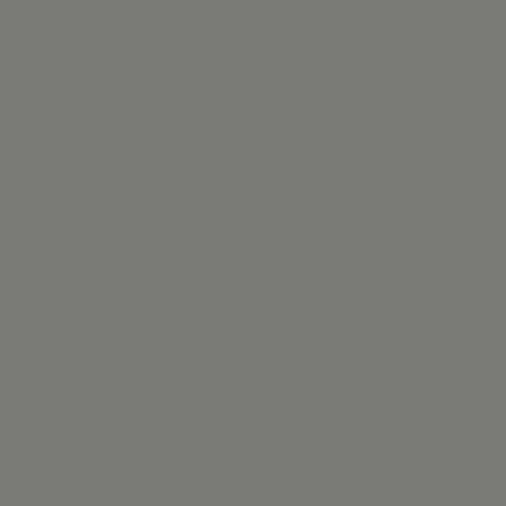 12 Oz. Gloss Phantom Gray General Purpose Spray Paint (Case of 6)