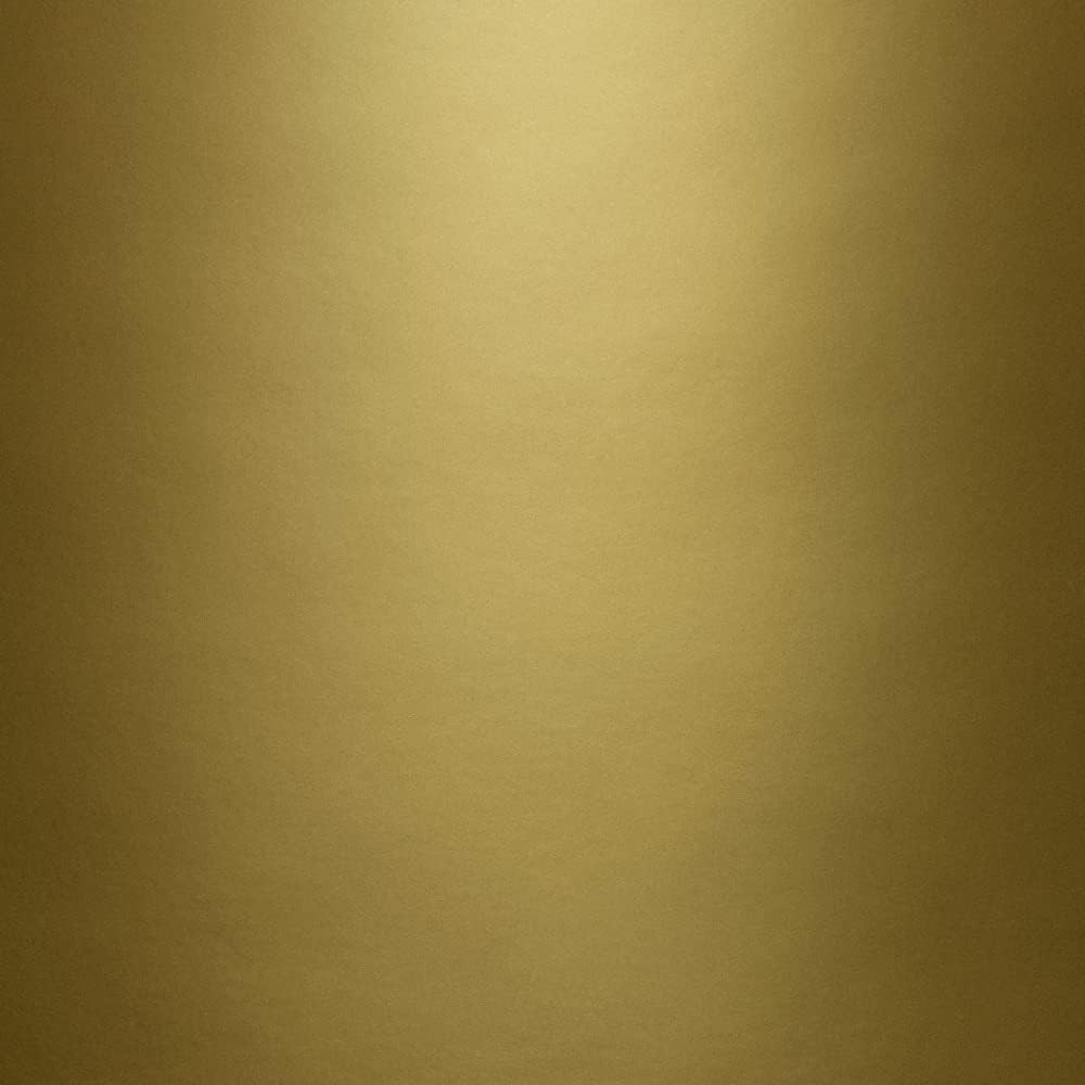 General Purpose Spray Paint Metallic Brass