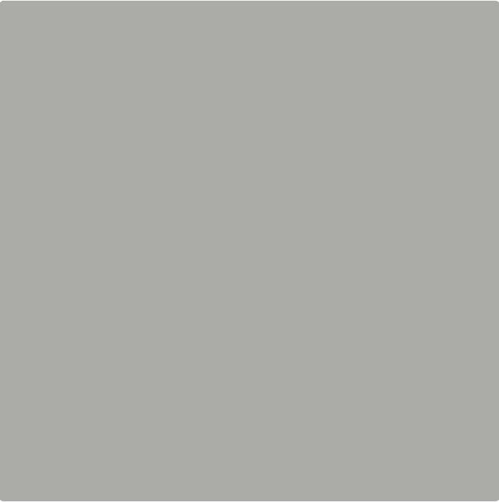 2 Pack Spred Grab-N-Go Precipitation/Gray, Flat Interior Paint w Primer, 1Gal Pk
