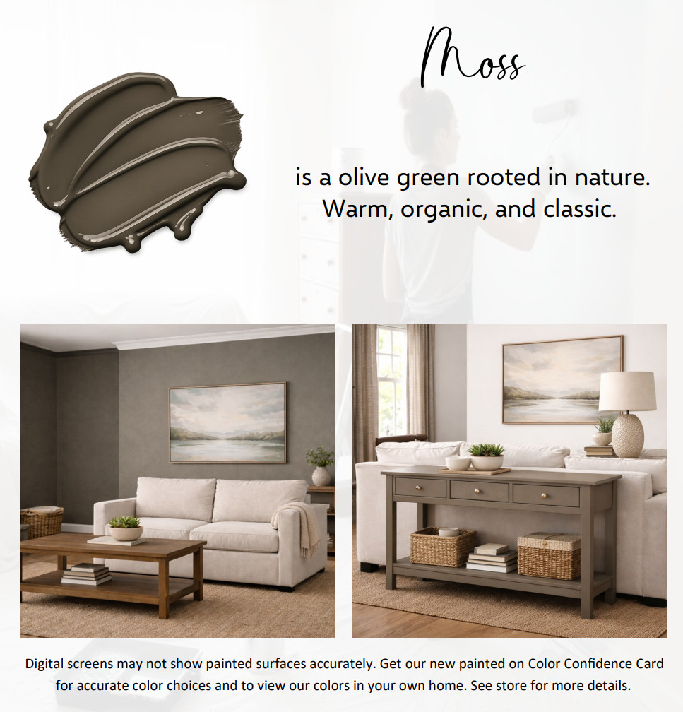 ALL-IN-ONE Paint – Moss, Gallon