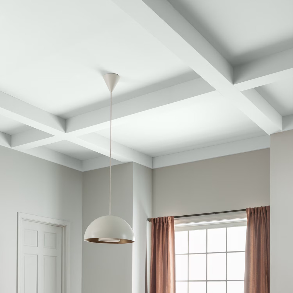 2 Pack Glidden Grab-N-Go Interior Ceiling Paint, Flat White, 1 Gallon, Fast Dry