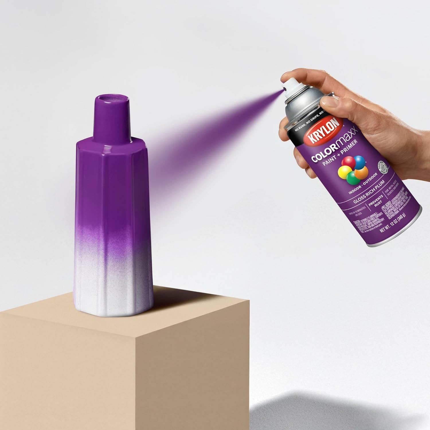 Fast-Drying Gloss Rich Plum Spray Paint – 12 Oz Can for Indoor/Outdoor Projects