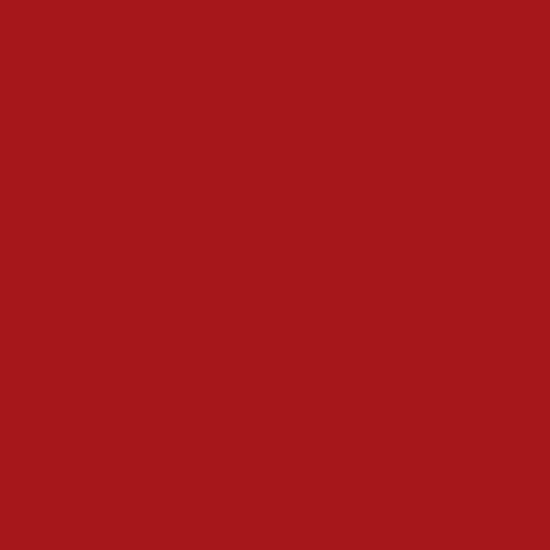 High Performance Gloss Enamel Red Spray Paint Metal Wood Rust Protection 15 Oz
