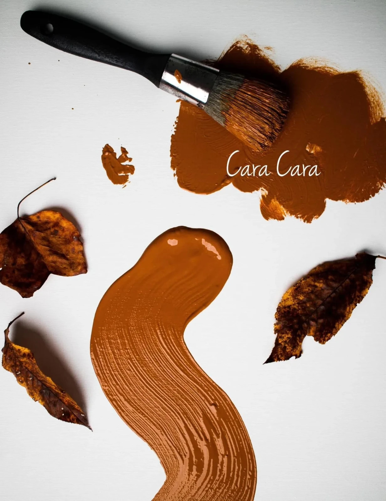 Burnt Orange,Brown Orange , Copper Brown Clay and Chalk Paint Cara Cara 8 ounce