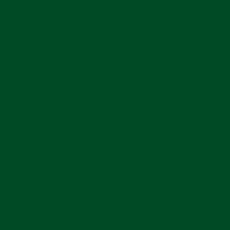 Enamel Paint Quart 2 Pack Gloss Protective Rust Prevention Durable Coverage New