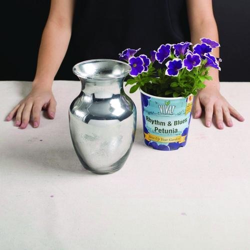 Rust-Oleum Specialty Mirror Effect Spray Paint, High Gloss Mirror, 6 oz Can