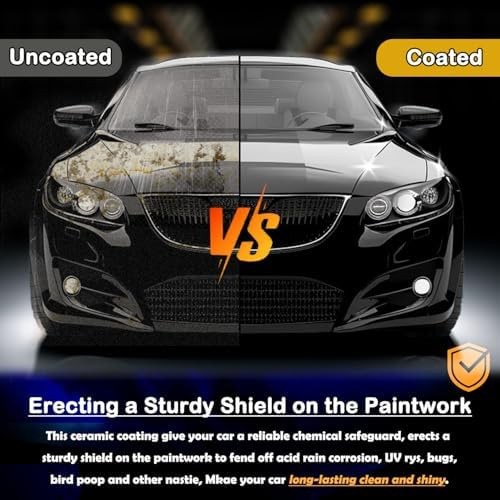 Quick Effect Coating Agent for Car – Hydrophobic Ceramic Coating Spray for Ca…