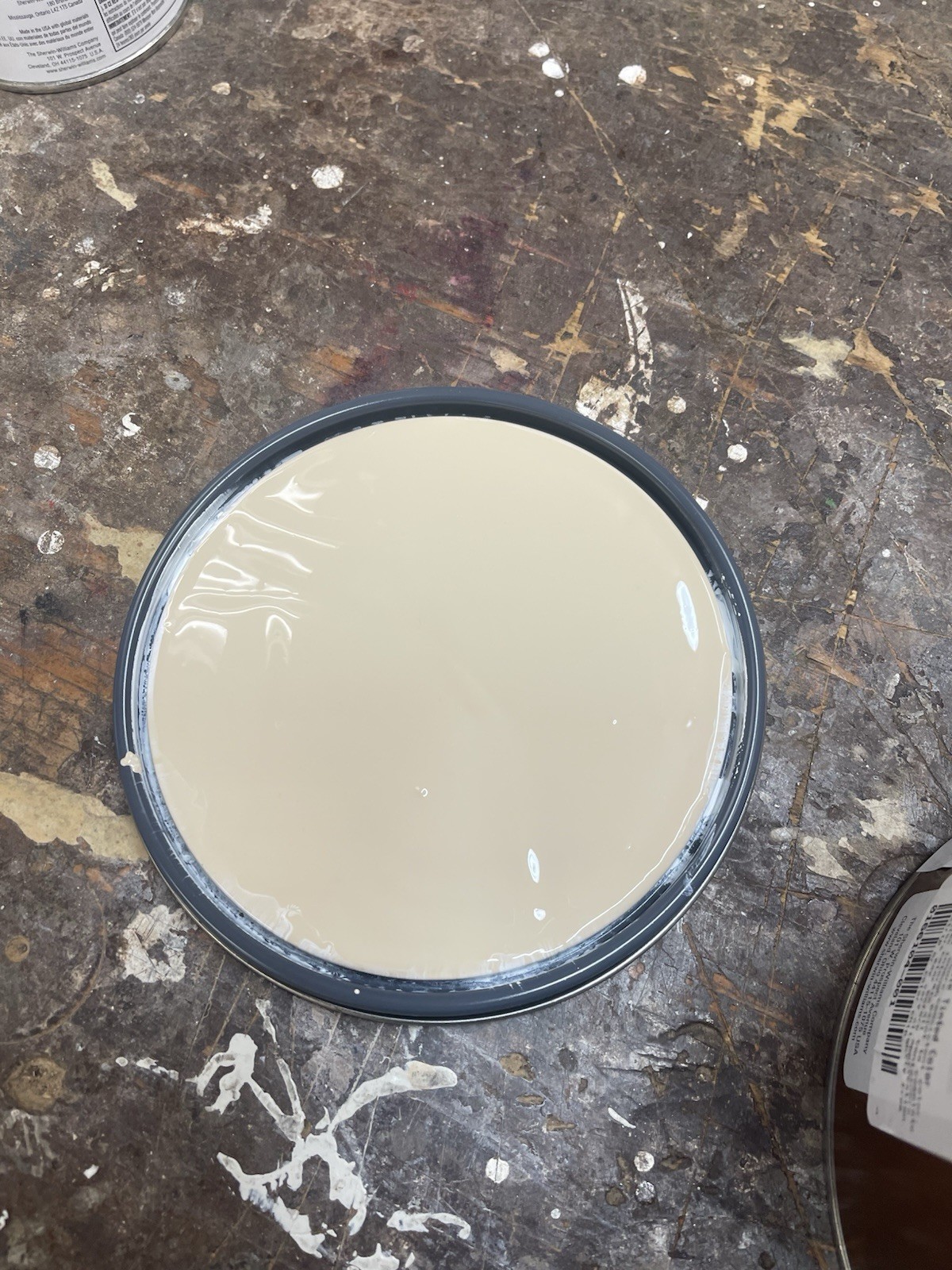 1 Gallon Sherwin Williams Duration Interior Satin Paint/Custom Sierra Hills Tan