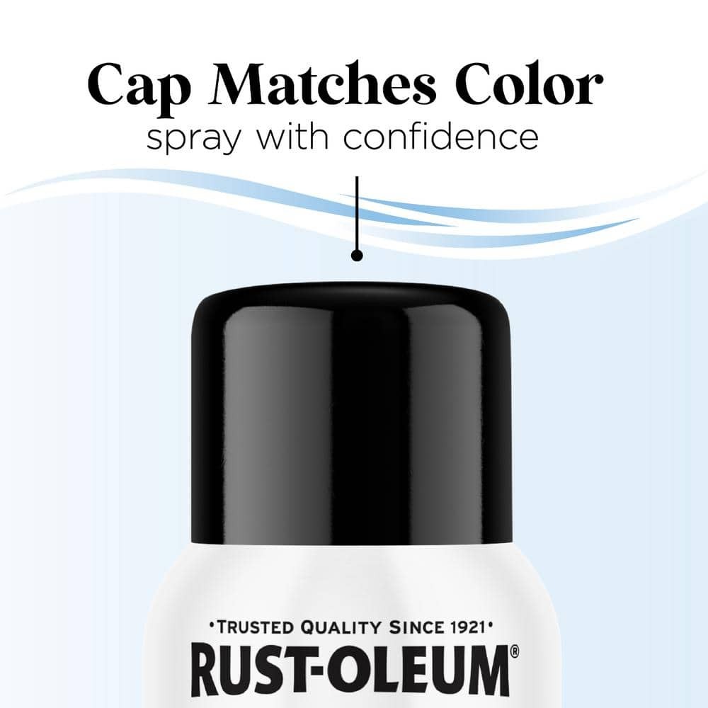 11 Oz. Gloss Blackout Low Odor Water-Based Spray