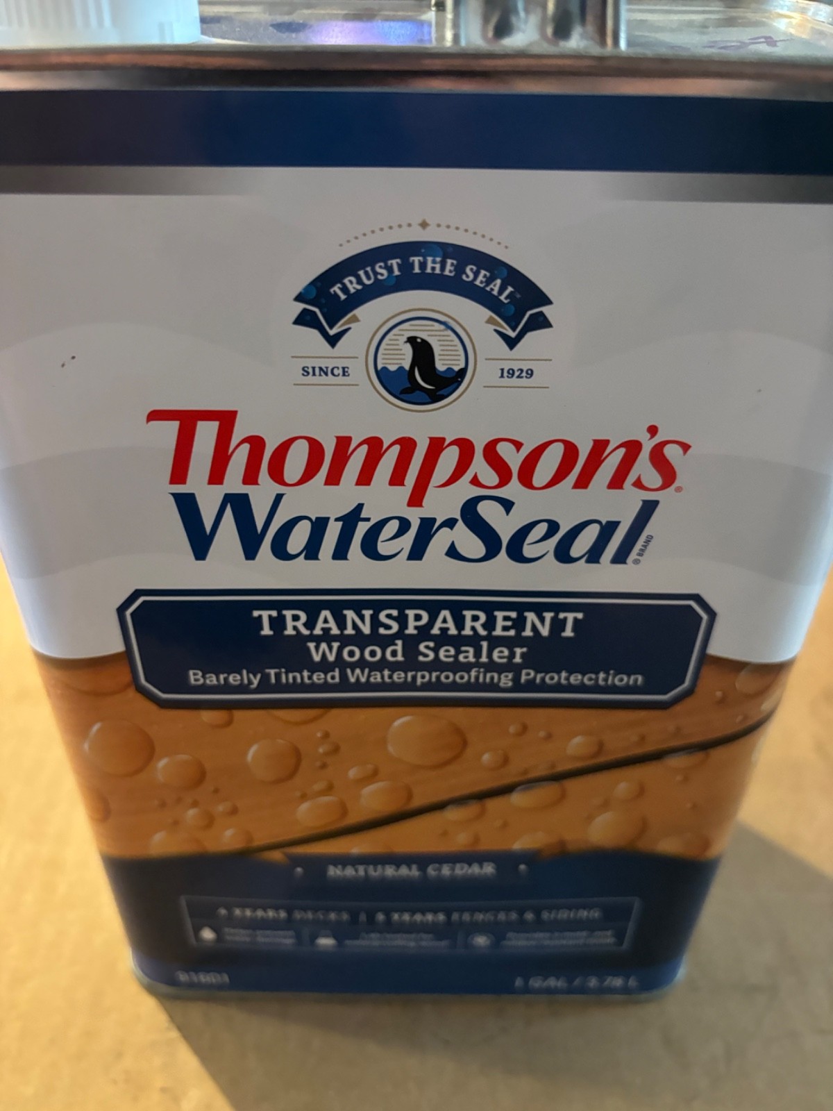 Thompson’s WaterSeal Transparent Wood Stain, Natural Cedar, 1 Gallon