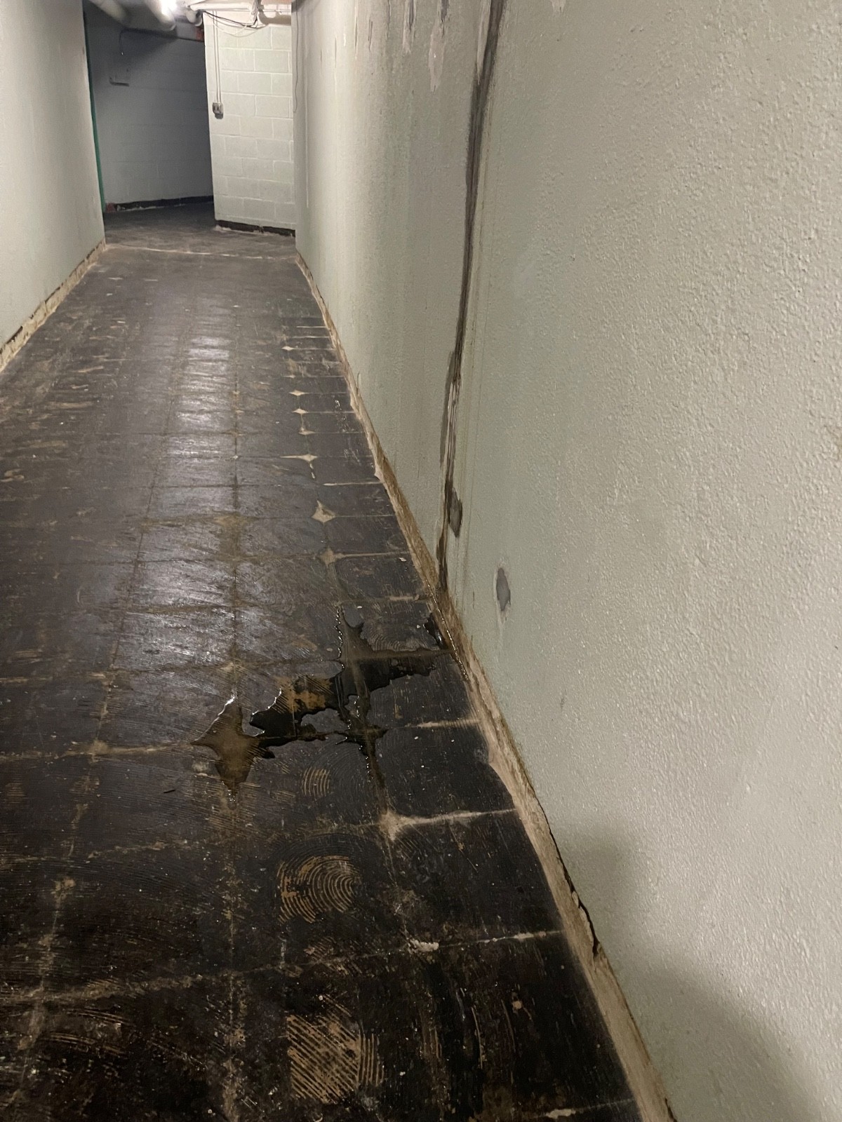 Asbestos Encapsulating Primer, No Mastic Removal! Seals Asbestos. 12 Gallons