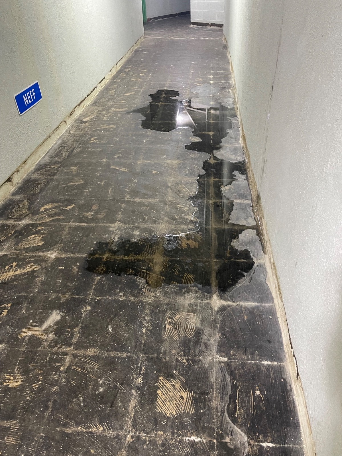 Asbestos Encapsulating Primer, No Mastic Removal! Seals Asbestos. 12 Gallons