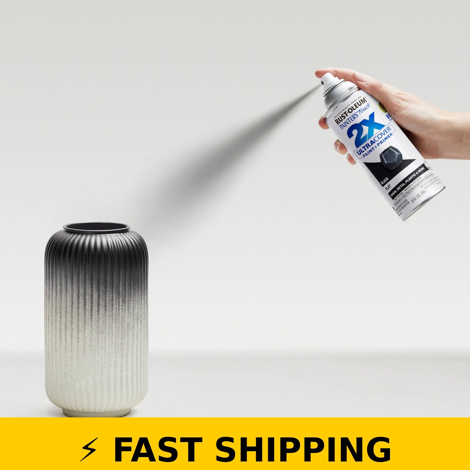 Rust-Oleum Painter’s Touch 2X Spray Paint, 12 oz, Flat Black