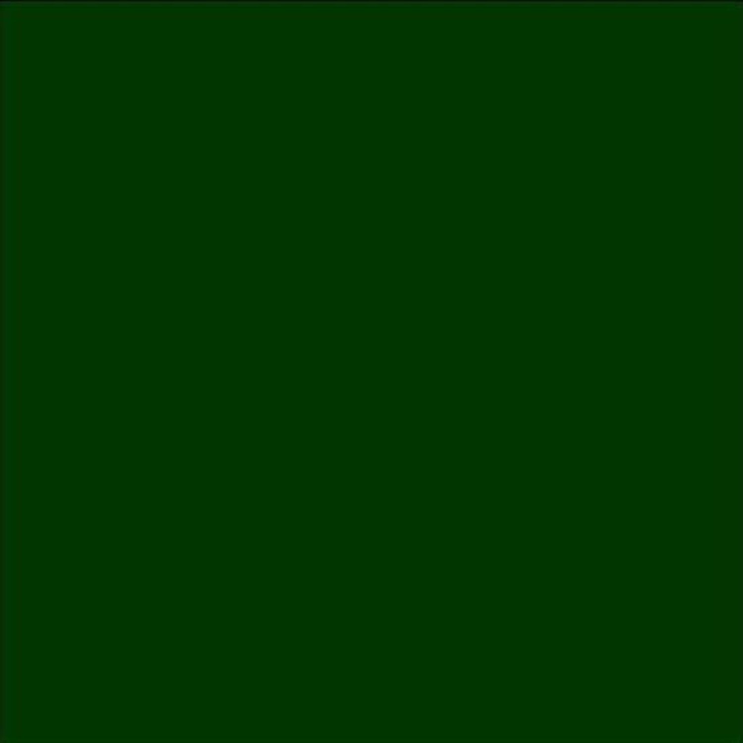 Chalkboard Blackboard Paint – Green 8.5oz – Brush on Wood or Any Surface – Matte