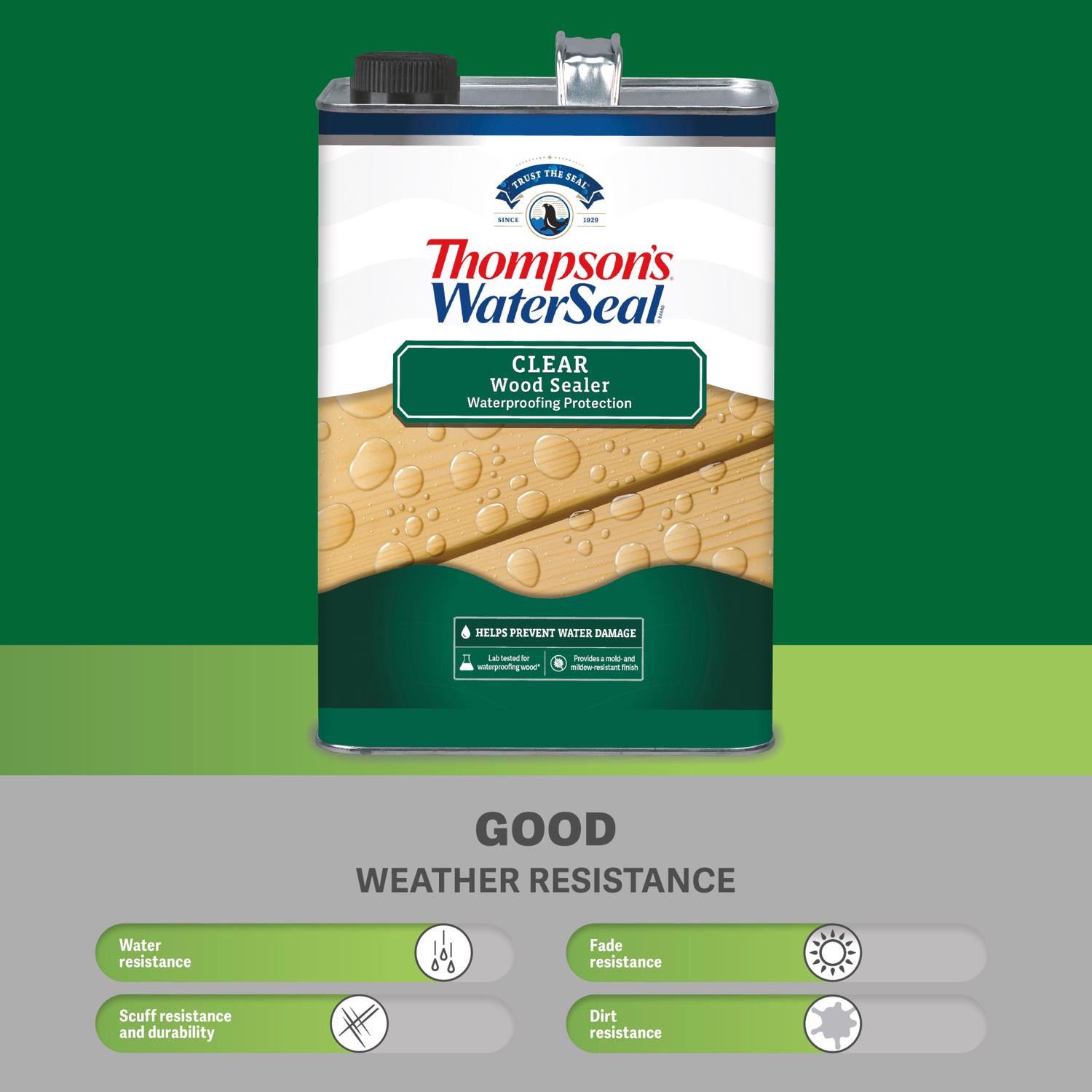Thompson’s Waterseal Clear Oil-Based Waterproofer Wood Protector 6 gal