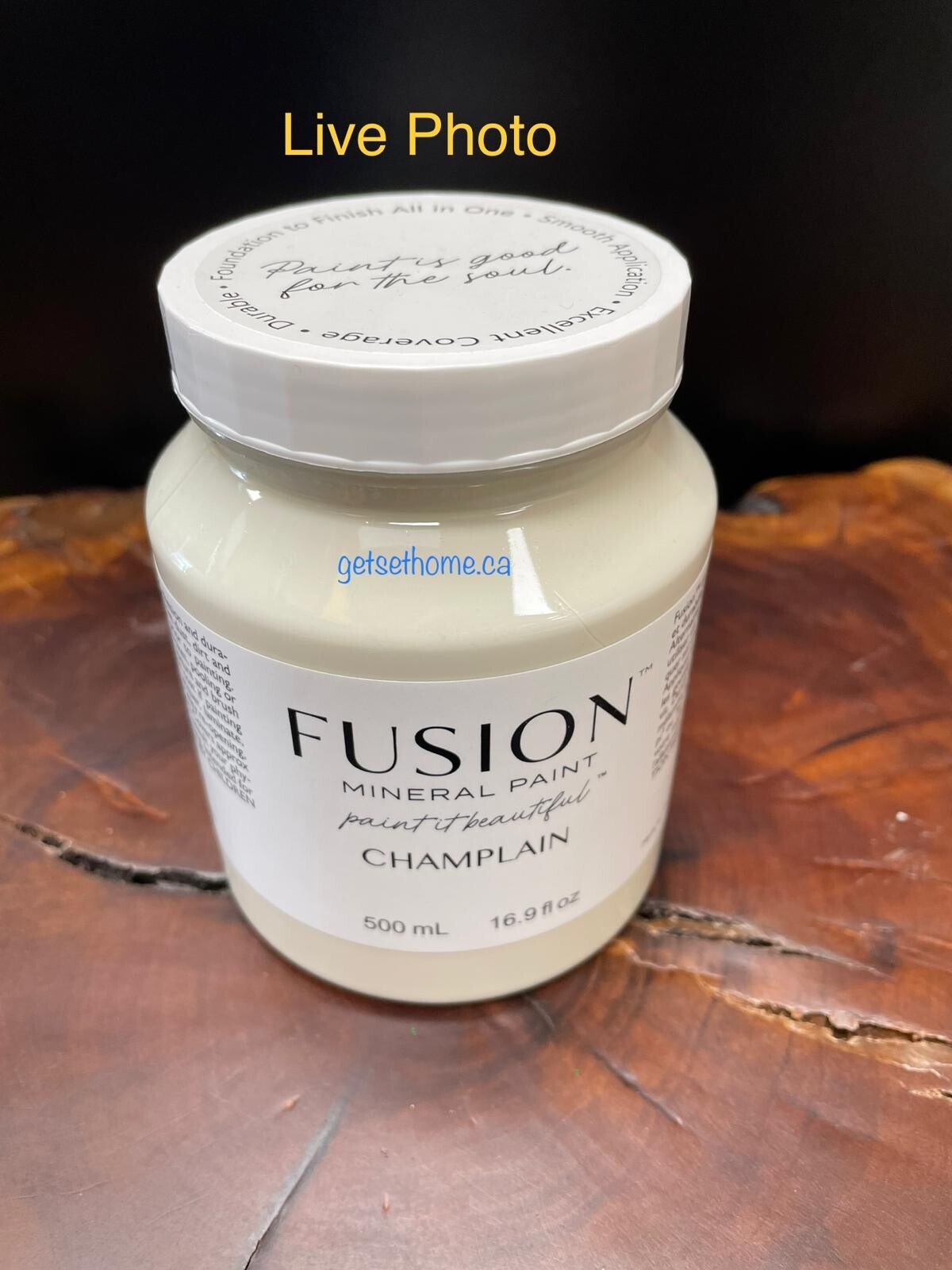 Fusion Mineral Paint – Champlain