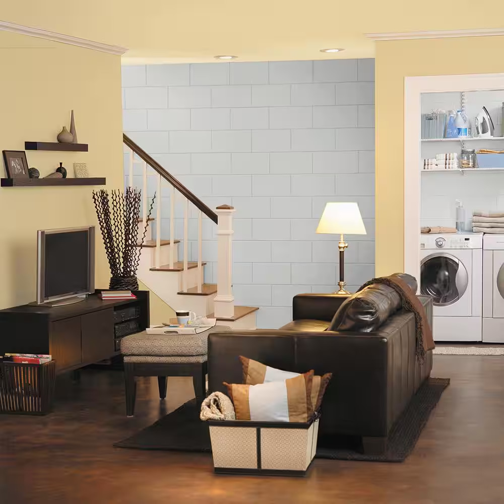 5 Gal. White Flat Interior/Exterior Dry plus Basement & Masonry Waterproofer