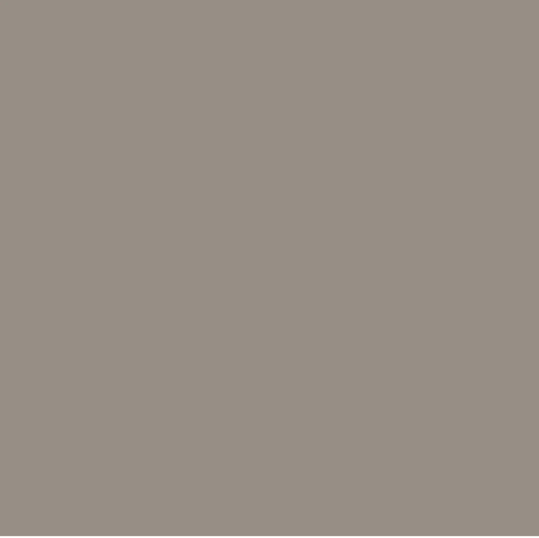 Rust Oleum Universal 12 Ounce Greige All Surface Paint Pack Of 6 Fast Drying
