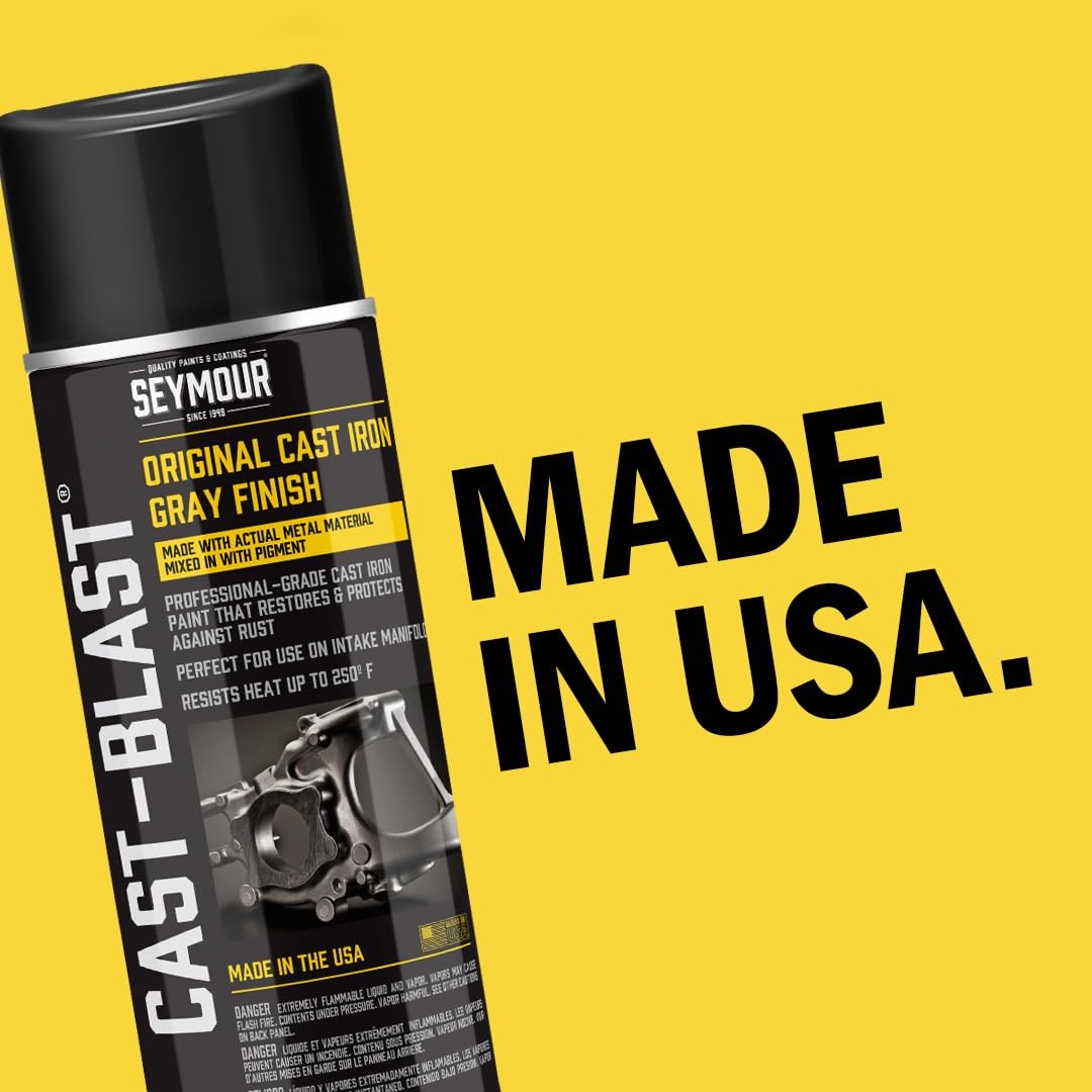 CA16-48 Cast Blast Spray Paint 12 Ounce (Pack of 1)