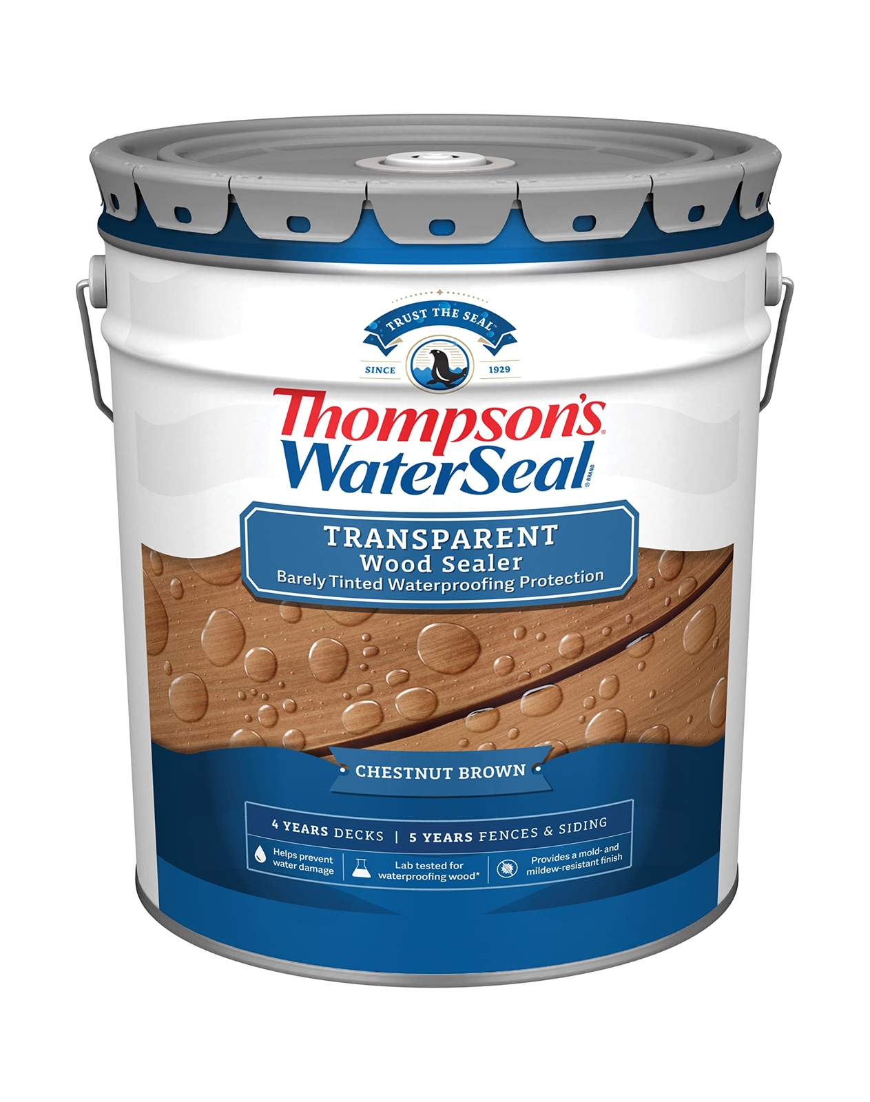 Thompson’s WaterSeal Transparent Waterproofing Wood Stain and Sealer Chestnut