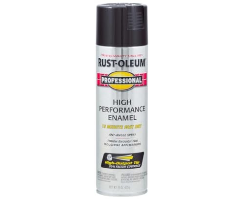 Rust-oleum 7579838 Professional High Performance Enamel Spray Paint, 1
