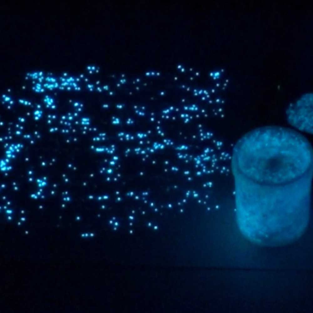 AQUA Extreme StarMaker Glow in the dark paint 8oz pot , luminescent