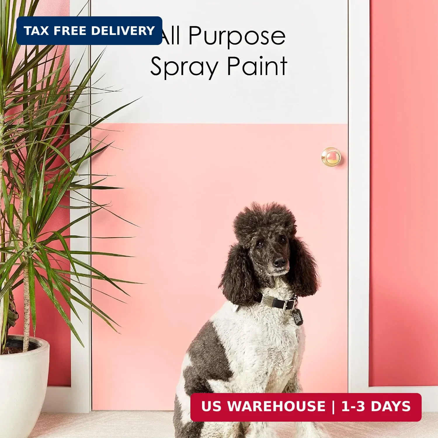 Krylon K05545007 COLORmaxx Spray Paint and Primer for Indoor/Outdoor Use, Gloss