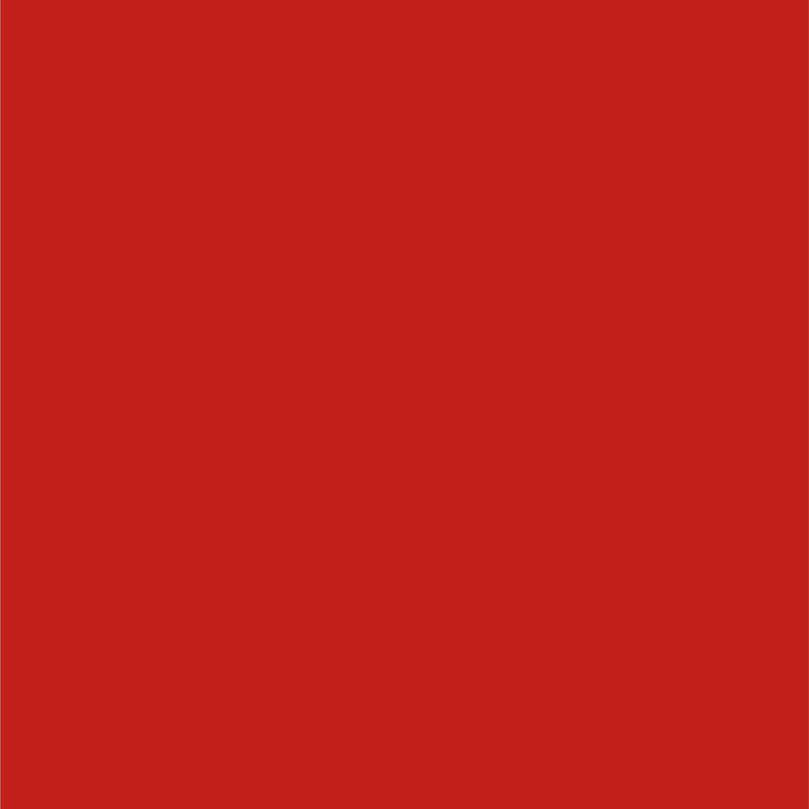 Dupli-Color EBFM03797 Perfect Match Automotive Spray Paint – Ford Redfire…