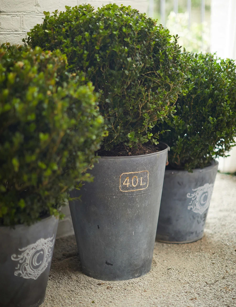 Amy Howard at Home: Zinc Antiquing Solution