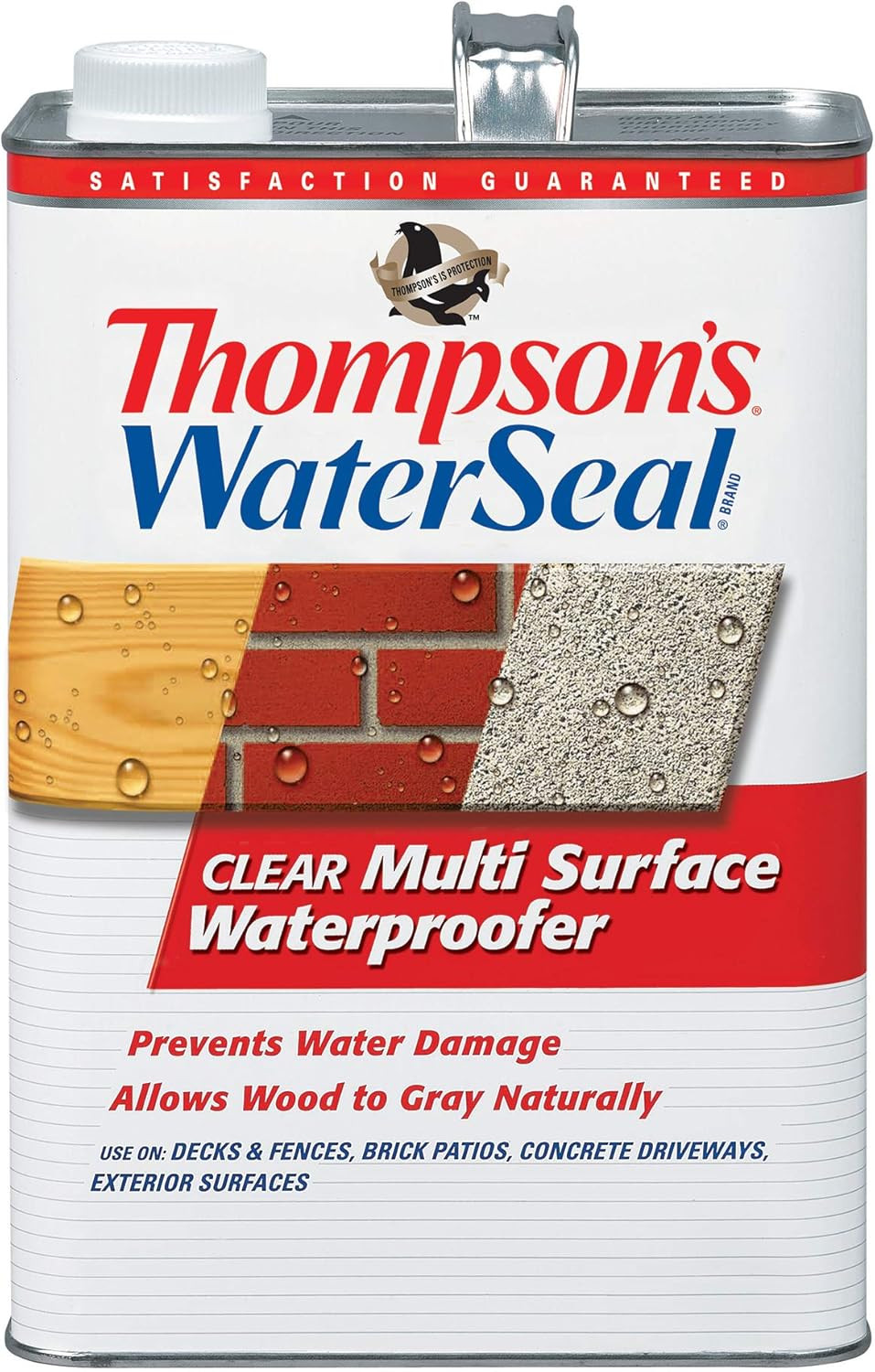 Thompson’S Waterseal Multi-Surface Waterproofer Stain, Clear, 1 Gallon