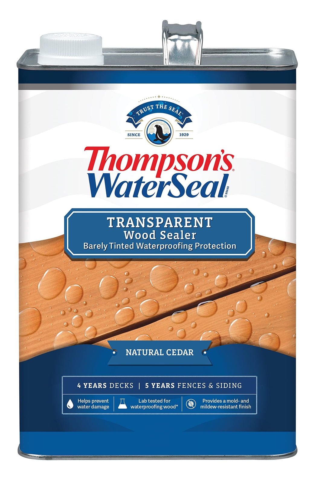 Thompson’s WaterSeal Transparent Waterproofing Wood Stain Outdoor Finish