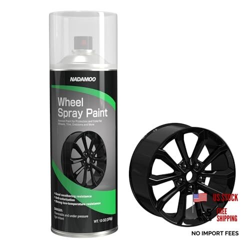 Aluminum Wheel Rim Paint Protective Clear Coat, Satin 13.00 Ounce (Pack of 1)