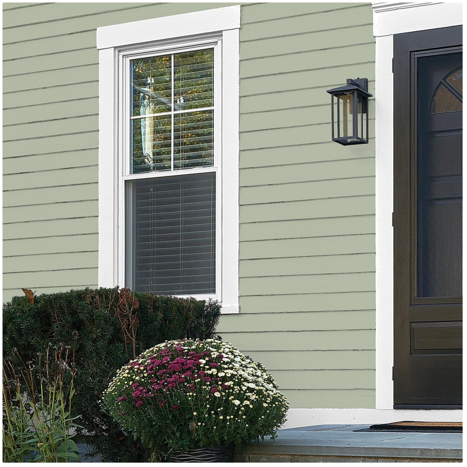 Total Exterior Paint & Primer All-in-One, Light Sage, Flat-~^